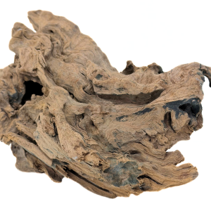 Congo Wood