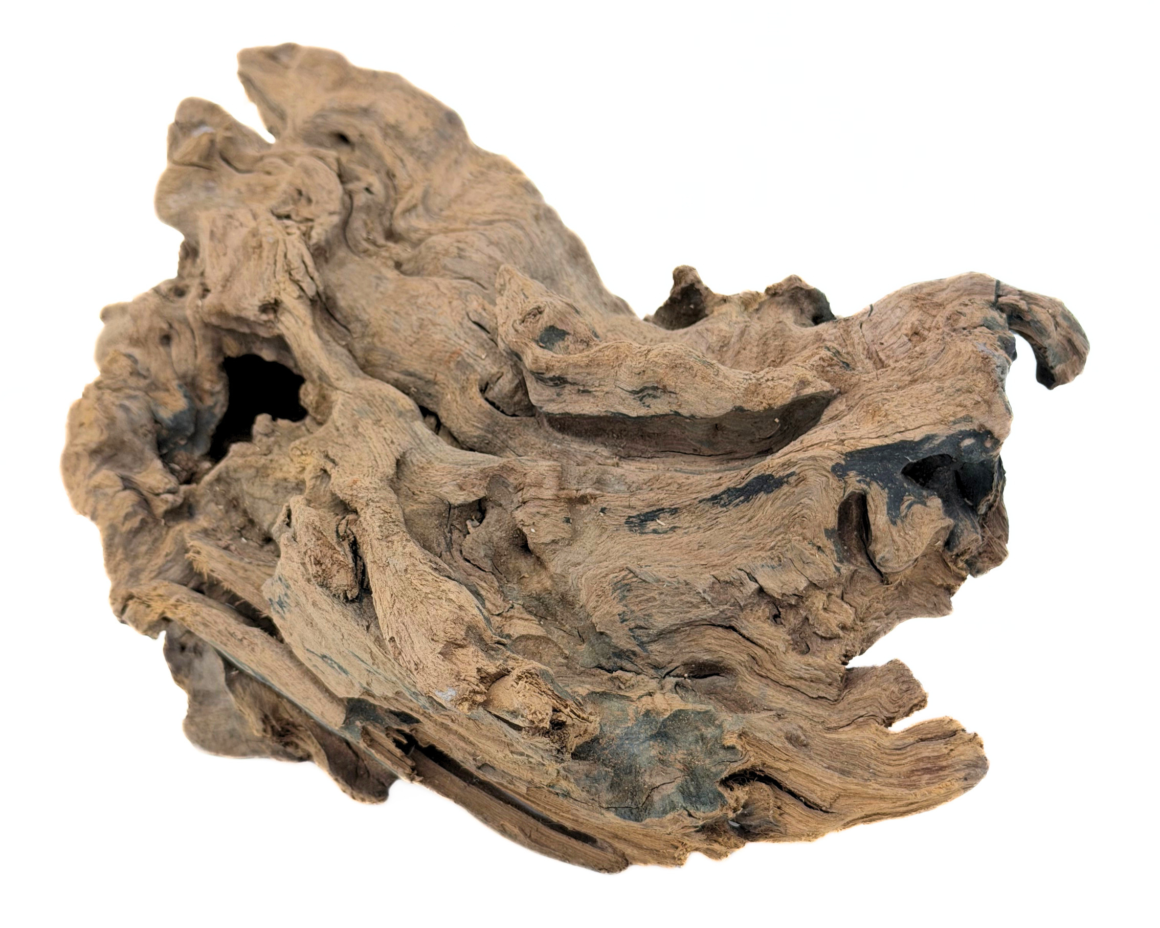 Congo Wood