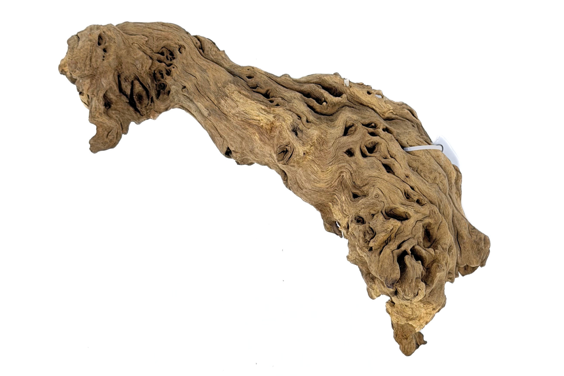 Congo Wood - Image 3