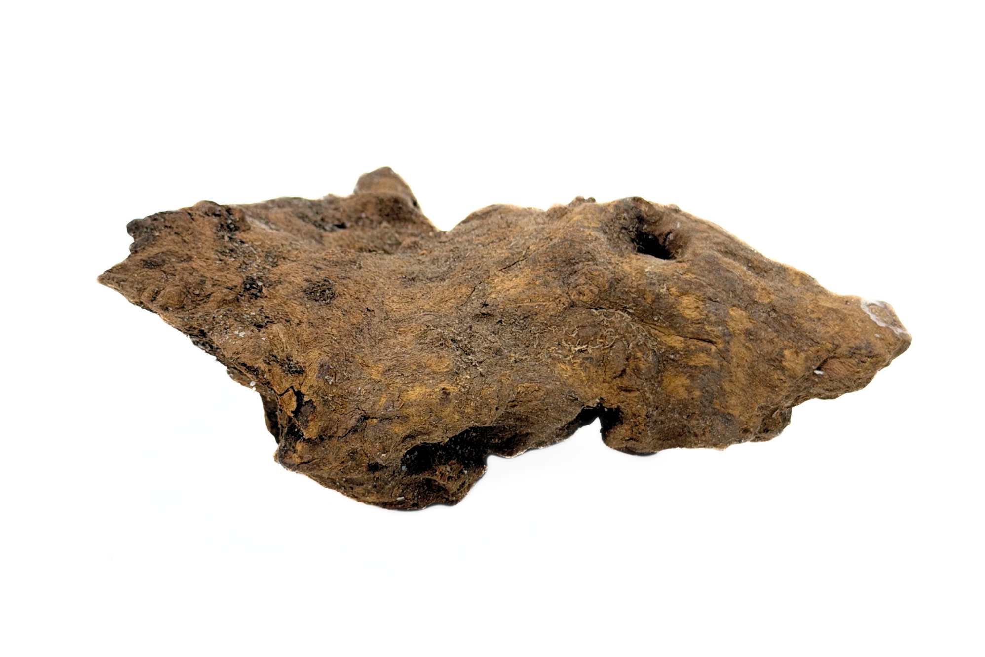 Congo Wood - Image 2