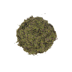 Duckweed (Lemna minor)