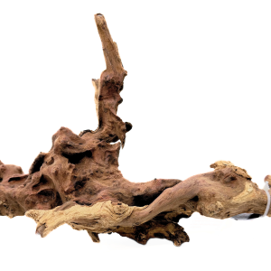 Pacific Wood