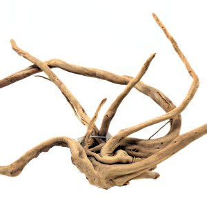 Spider Wood