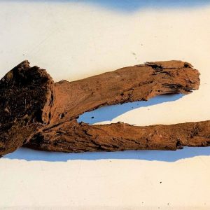 Driftwood (Malaysian)