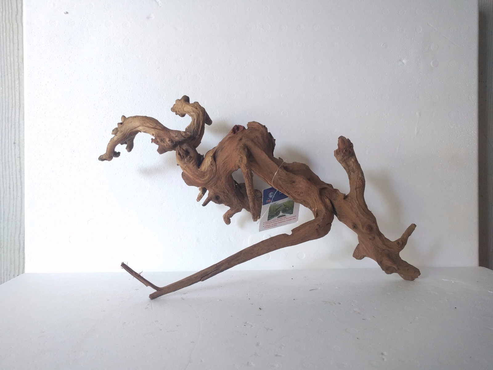Pacific Wood