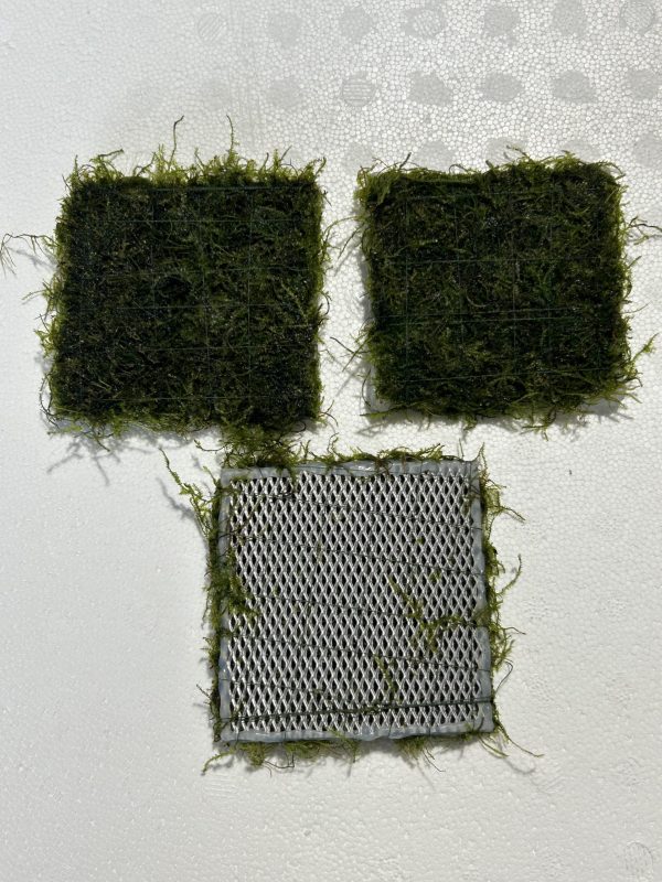 Java Moss Mat