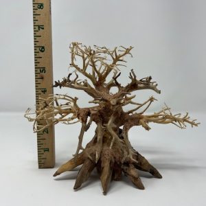 Octopus Tree 6"