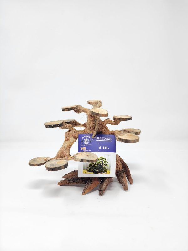 Rainforest Tree 6"