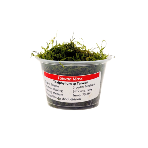 Taiwan Moss Portion Cup