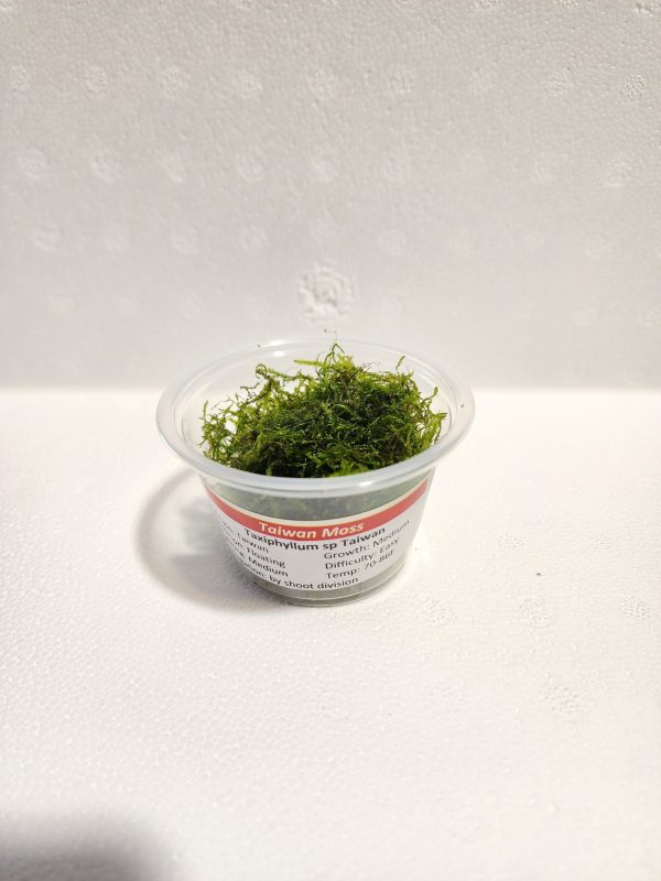 Taiwan Moss Portion Cup