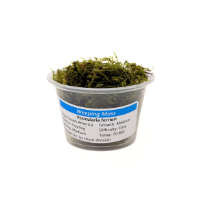 Weeping Moss Portion Cup