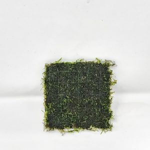Christmas Moss 3x3" Mat
