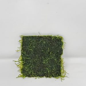 Peacock Moss 3x3" Mat