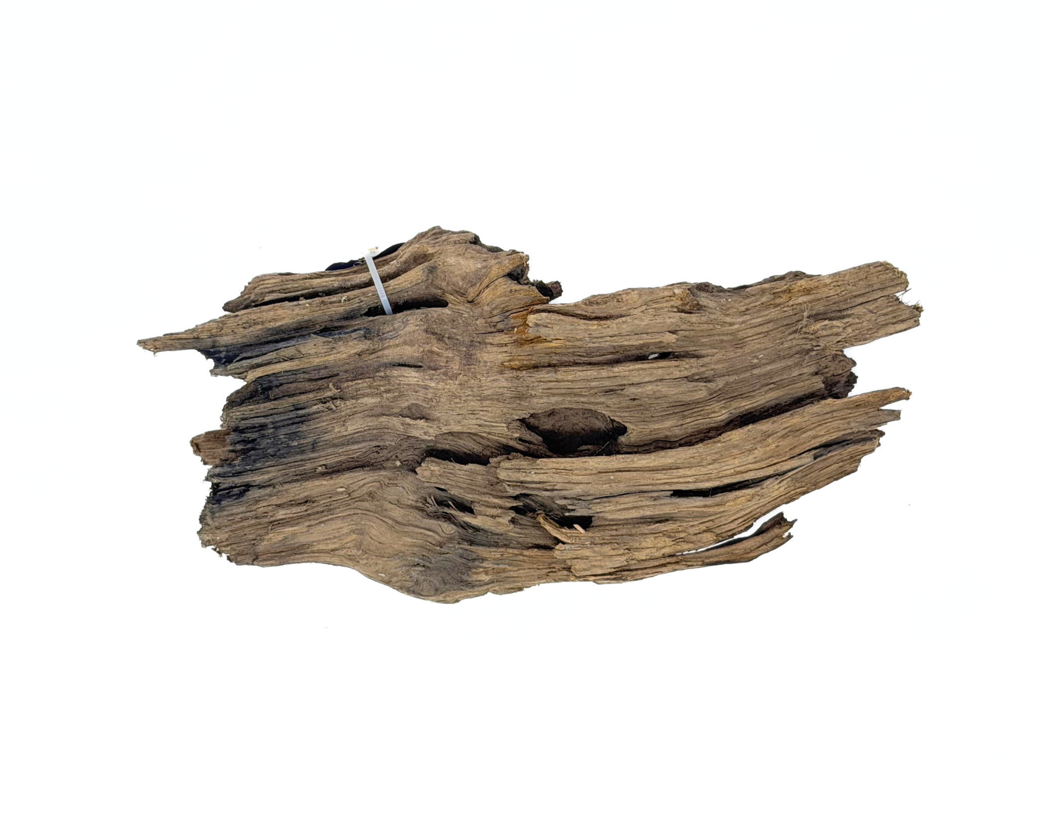 Shrimpwood - Image 2
