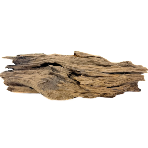 Shrimpwood